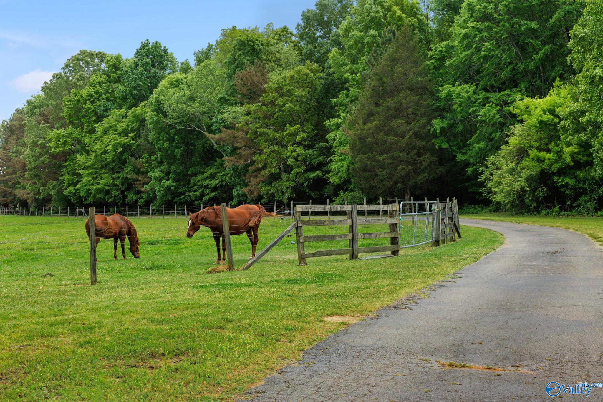 401 County Road 432, Killen, Alabama image 42