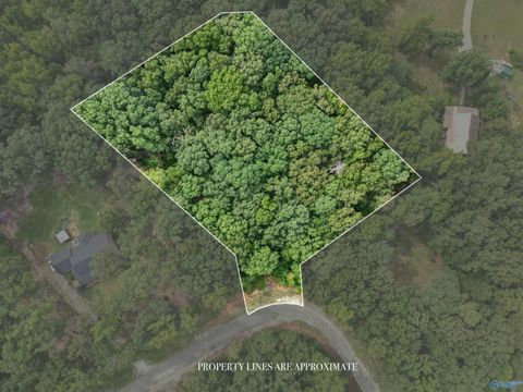 Vacant Land For Sale - LOT 14 County Road 379<br/> Trinity, AL 35673