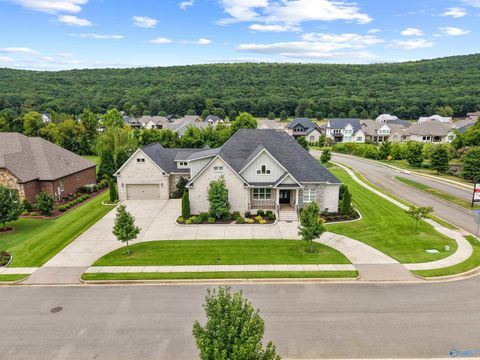 Photo of 74 Mcmullen Lane, Gurley, AL 35748 (MLS # 21911473)