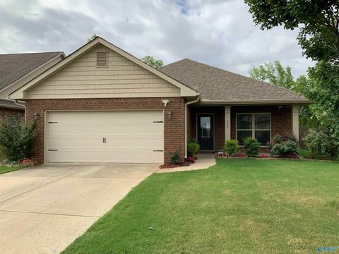 Homes For Rent - 267 New Bristol Lane<br/> Madison, AL 35756