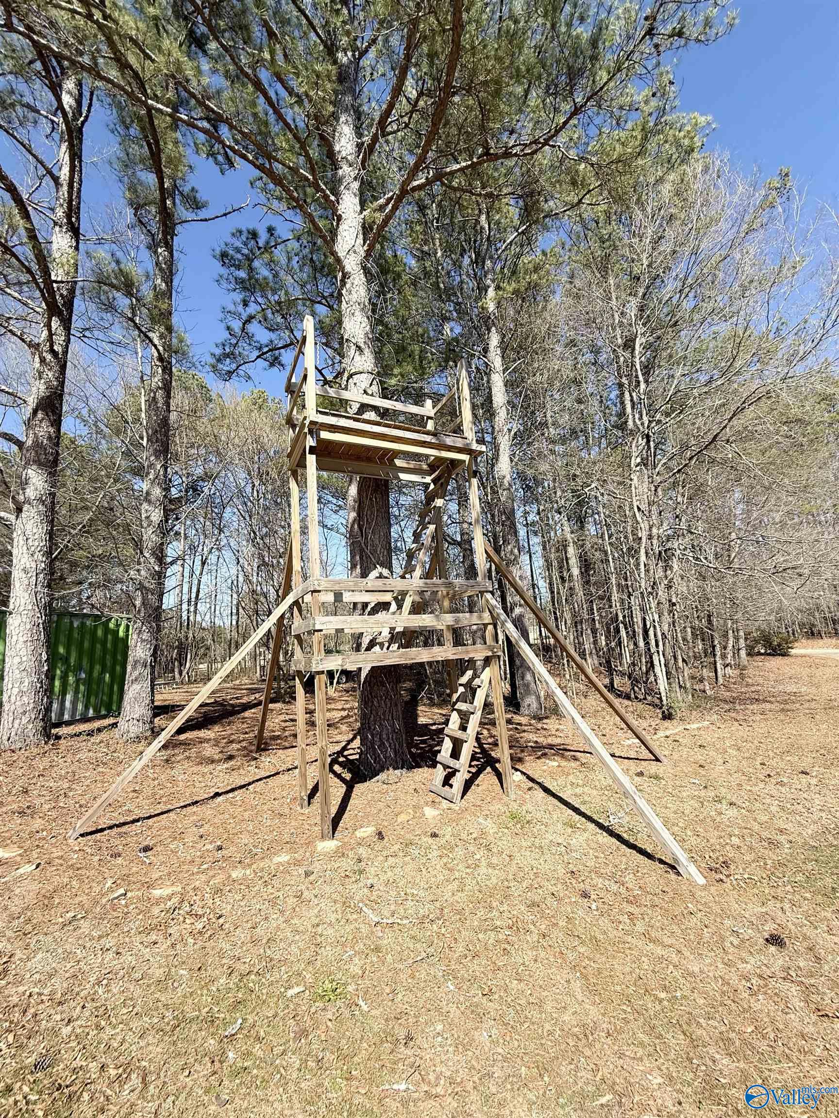 1192 Boozer Drive, Jacksonville, Alabama image 41