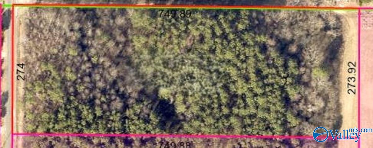 4.7 Acres County Road 1453, Falkville, Alabama image 3