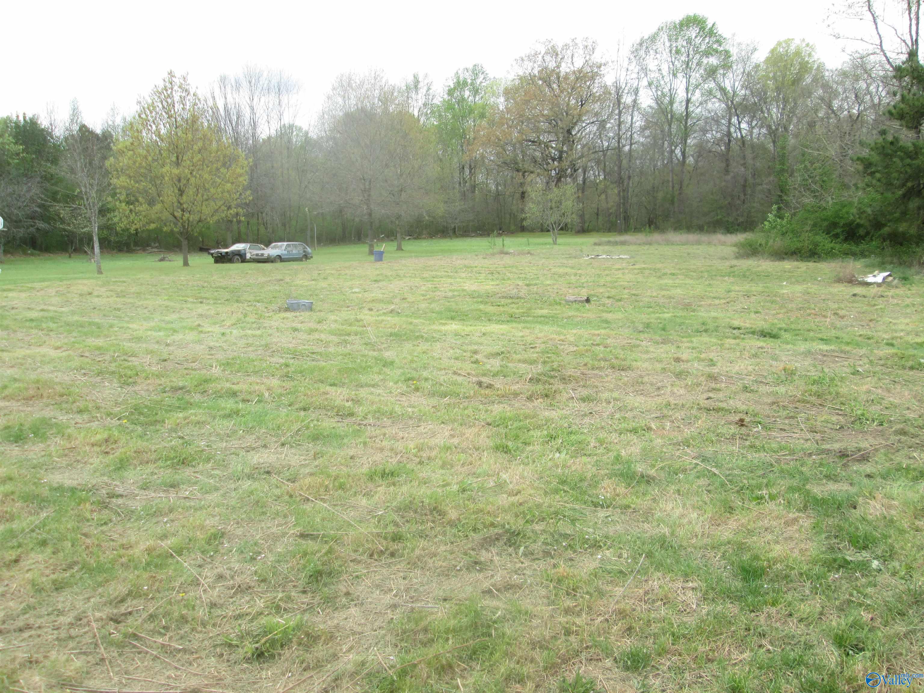 24429 Wagon Trail, Athens, Alabama image 4