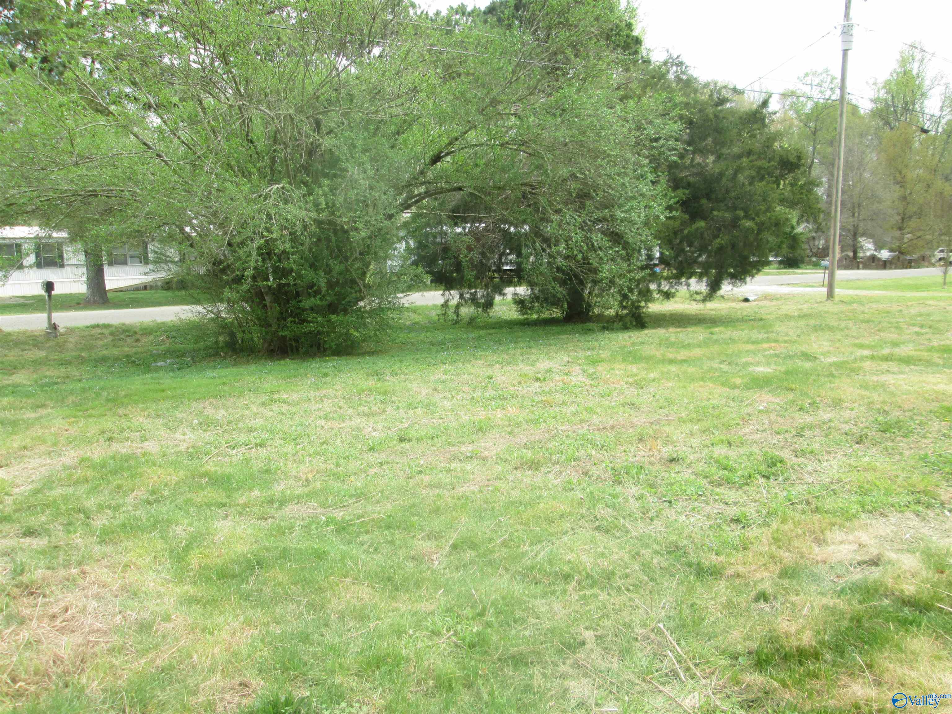 24429 Wagon Trail, Athens, Alabama image 7