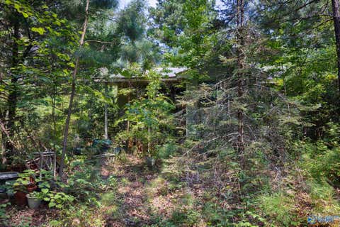 Homes For Sale - 199 Williams Road<br/> Toney, AL 35773
