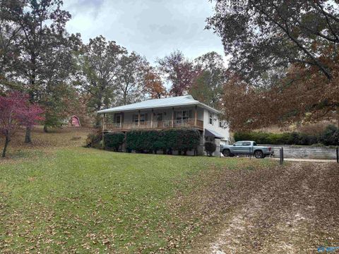 Photo of 6190 Highway 77, Southside, AL 35907 (MLS # 21905758)
