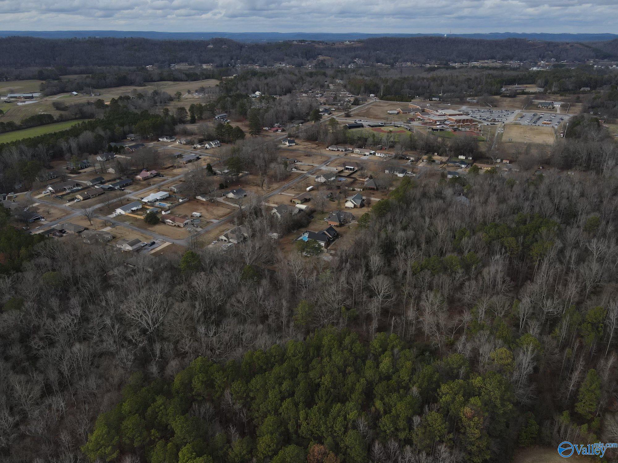 6.93 Colvin Circle, Southside, Alabama image 5