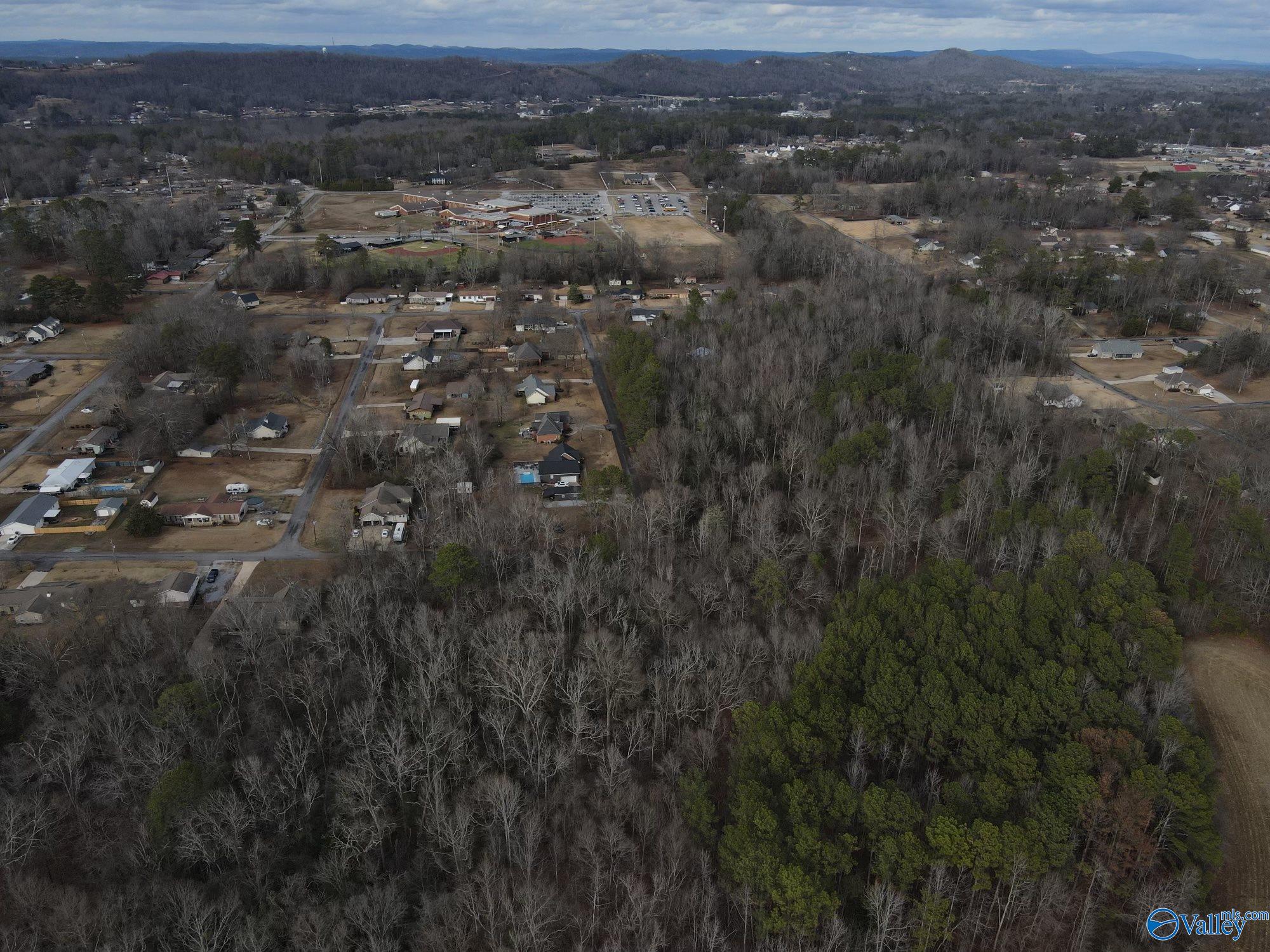 6.93 Colvin Circle, Southside, Alabama image 7