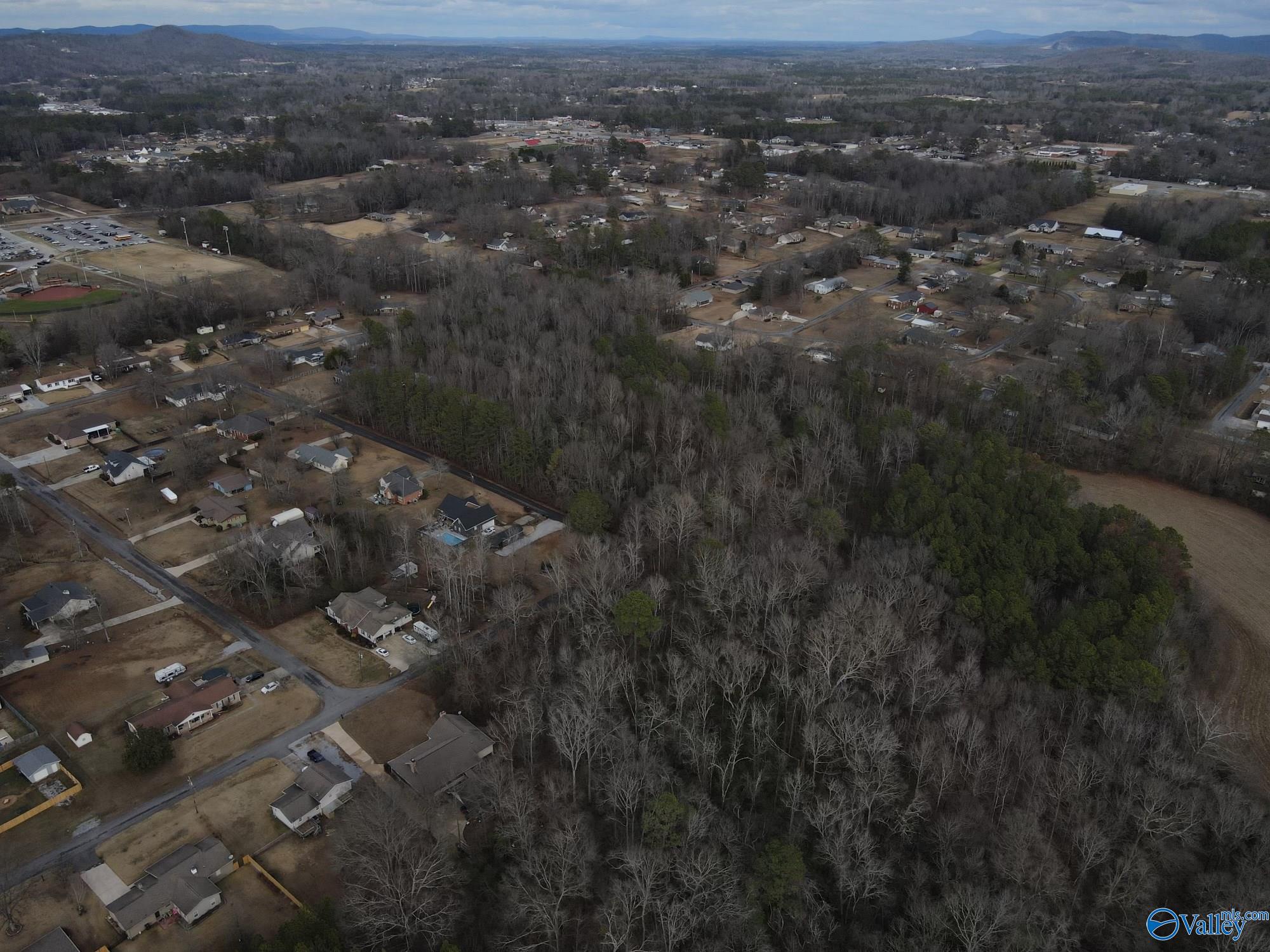 6.93 Colvin Circle, Southside, Alabama image 4