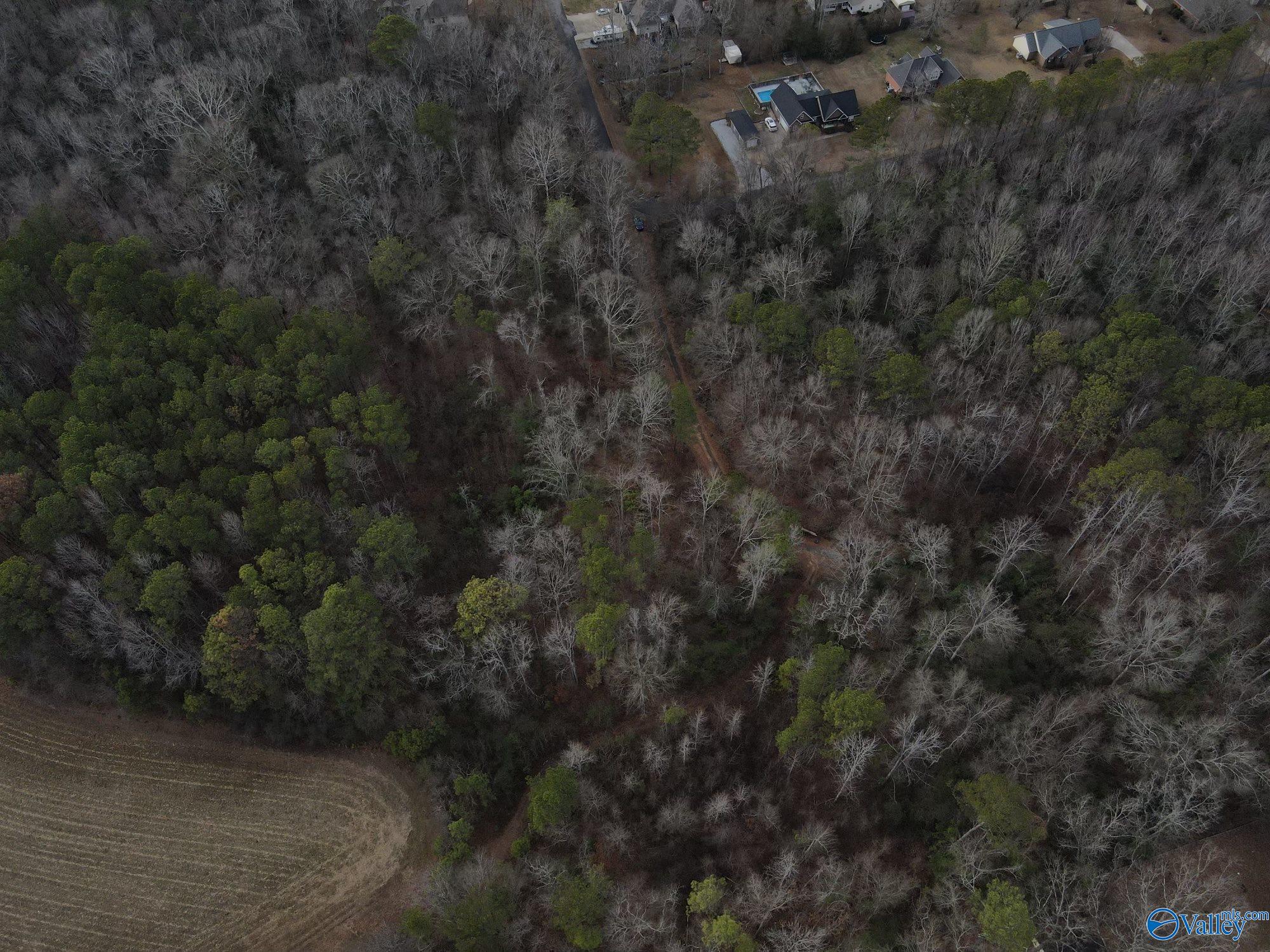 6.93 Colvin Circle, Southside, Alabama image 3