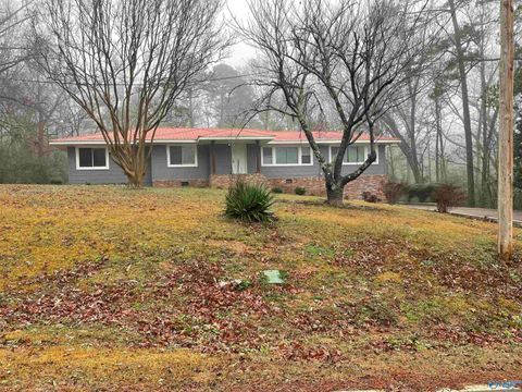 Homes For Sale - 2025 Mccoy Street<br/> Etowah County, Gadsden, AL 35901