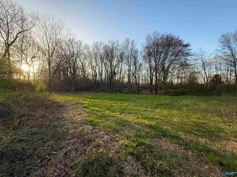 Vacant Land For Sale - 12305 Pulaski Pike<br/> Toney, AL 35773