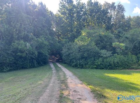 Vacant Land For Sale - 25 ACRES Meltonsville Road<br/> Guntersville, AL 35976