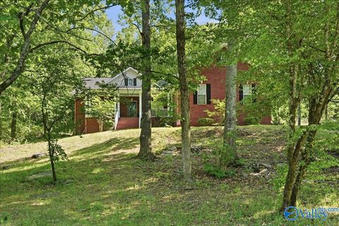 Photo of 9930 Torino Drive SE, Huntsville, AL 35803 (MLS # 21917027)