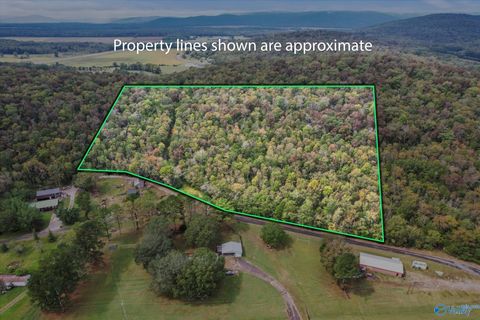 Vacant Land For Sale - 17 ACRES Old Grant Road<br/> Woodville, AL 35776