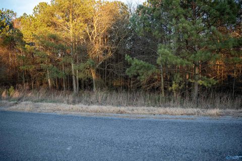 Vacant Land For Sale - 1191 Allen Road<br/> Boaz, AL 35956