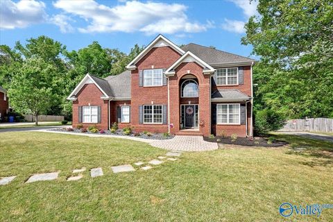 Homes For Sale - 1303 Spring Branch Drive<br/> Morgan County, Hartselle, AL 35640
