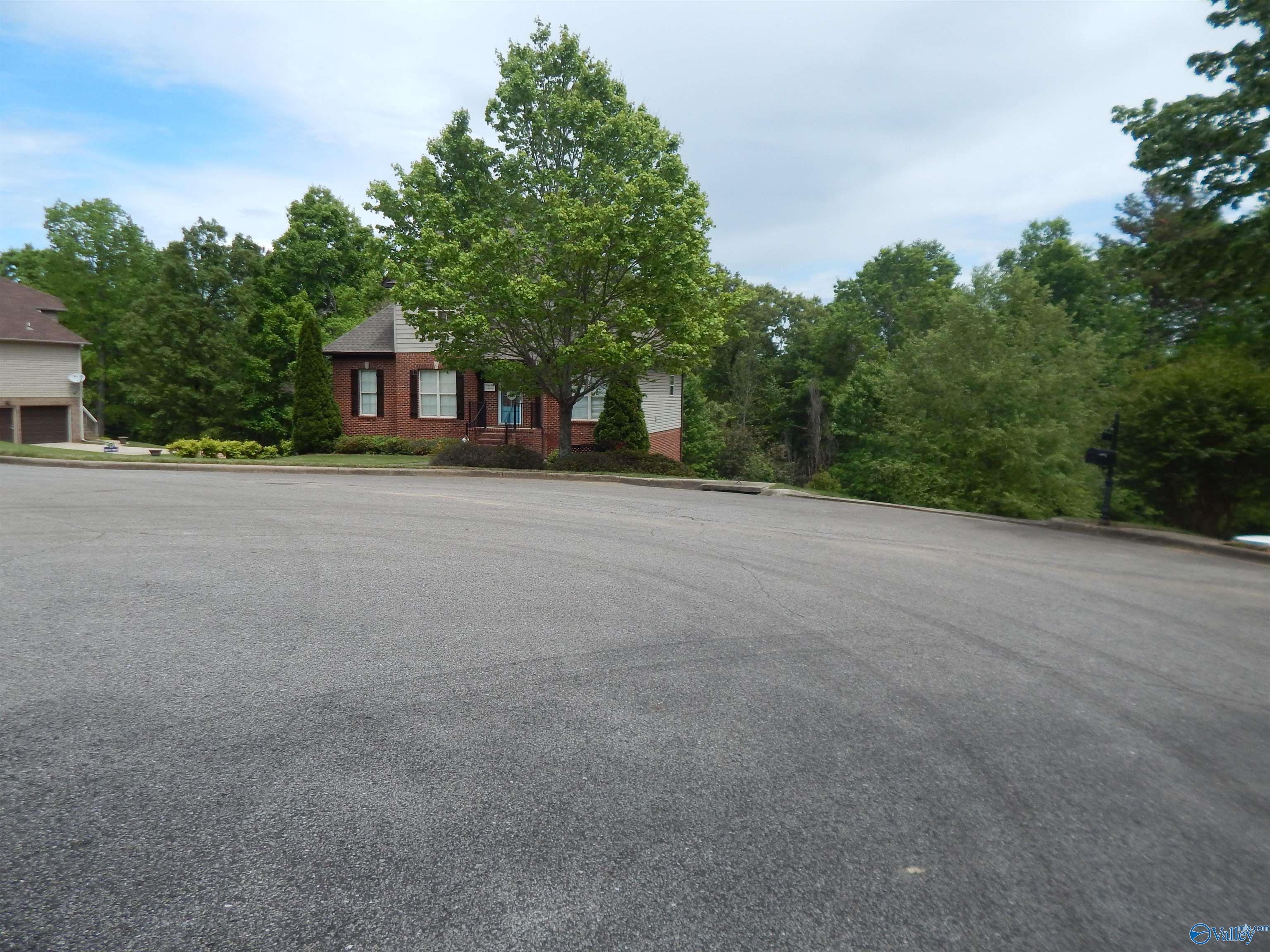 .3 Acres Alpine Circle, Odenville, Alabama image 3