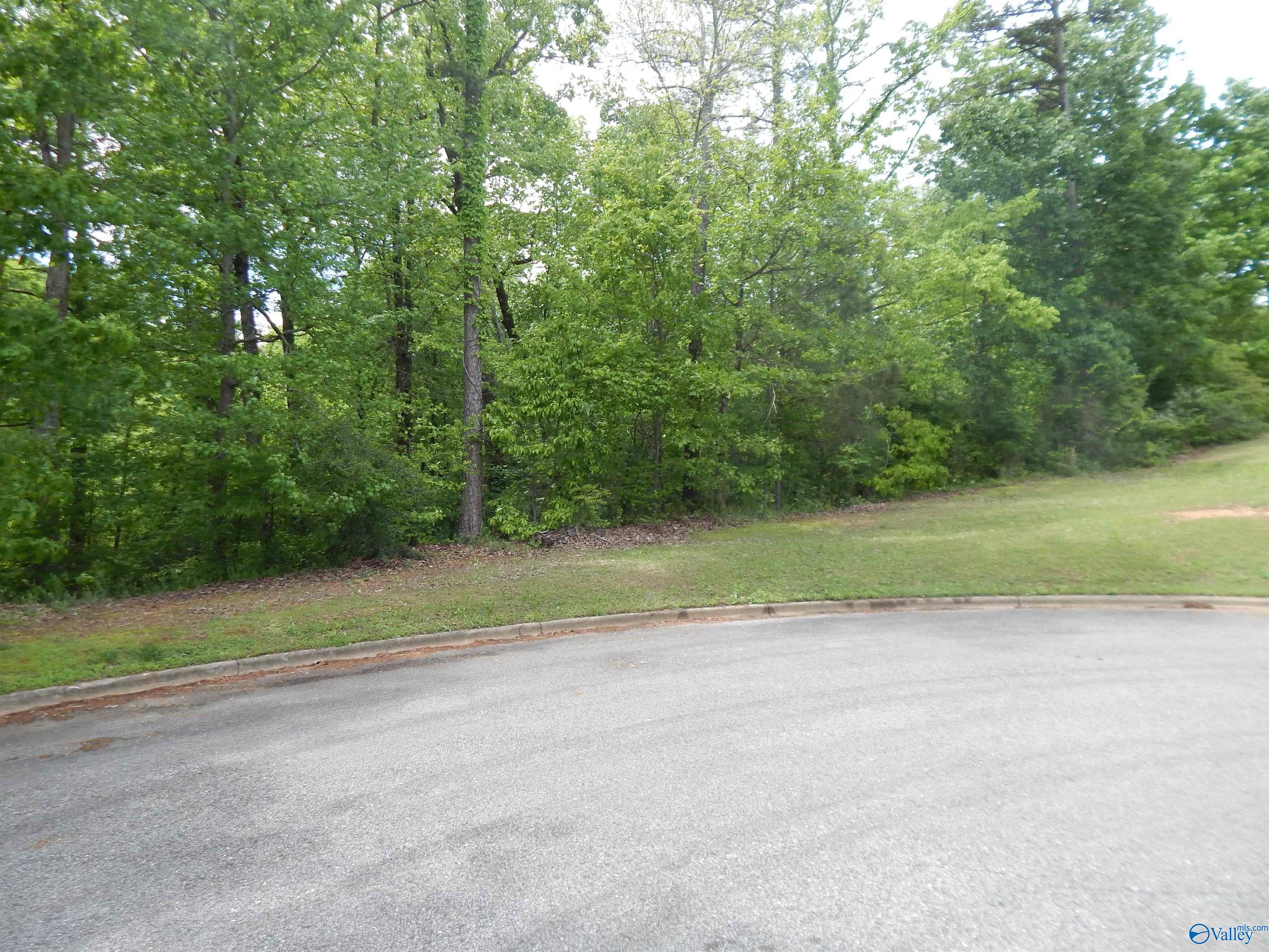 .3 Acres Alpine Circle, Odenville, Alabama image 4