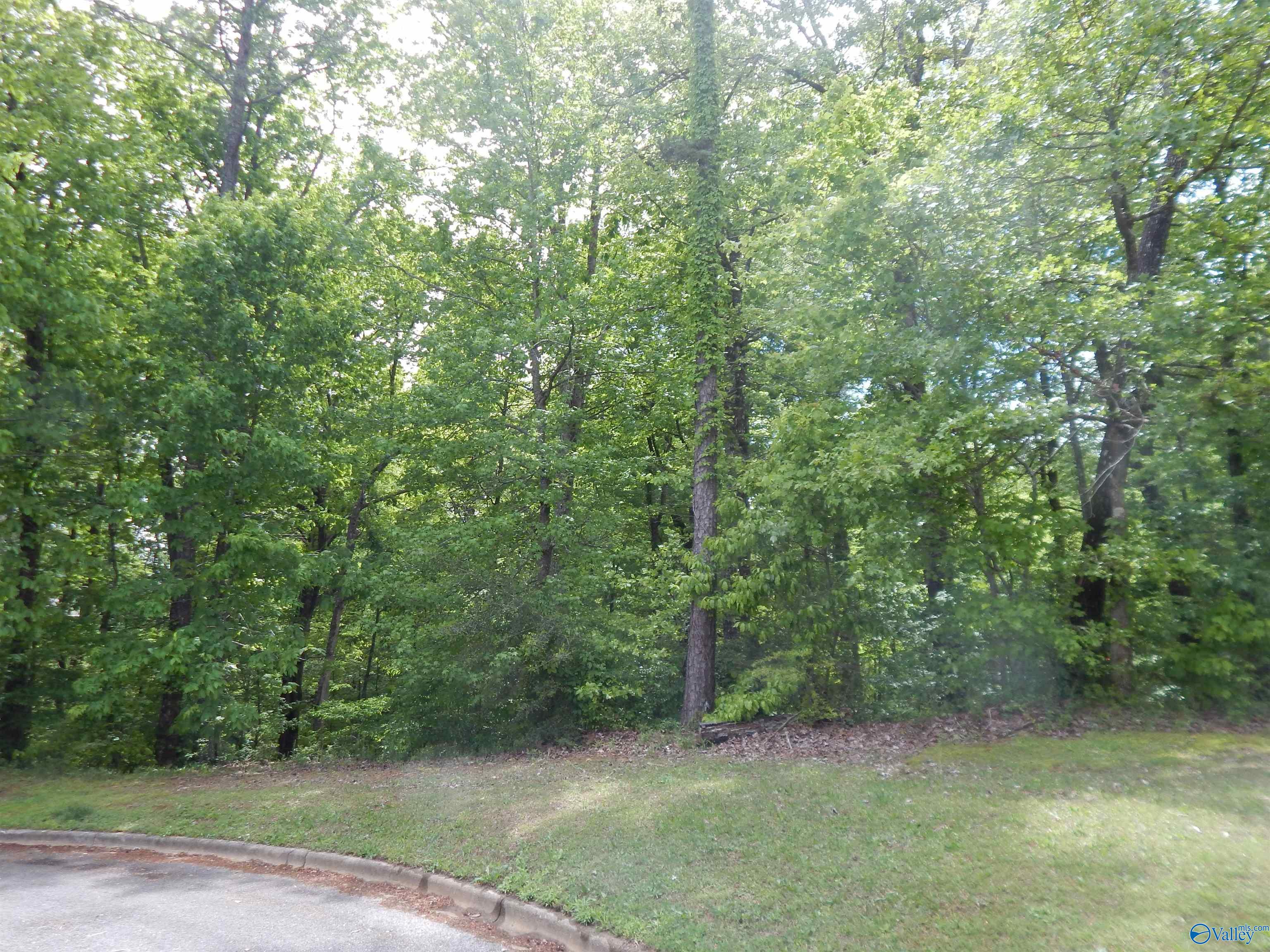 .3 Acres Alpine Circle, Odenville, Alabama image 12