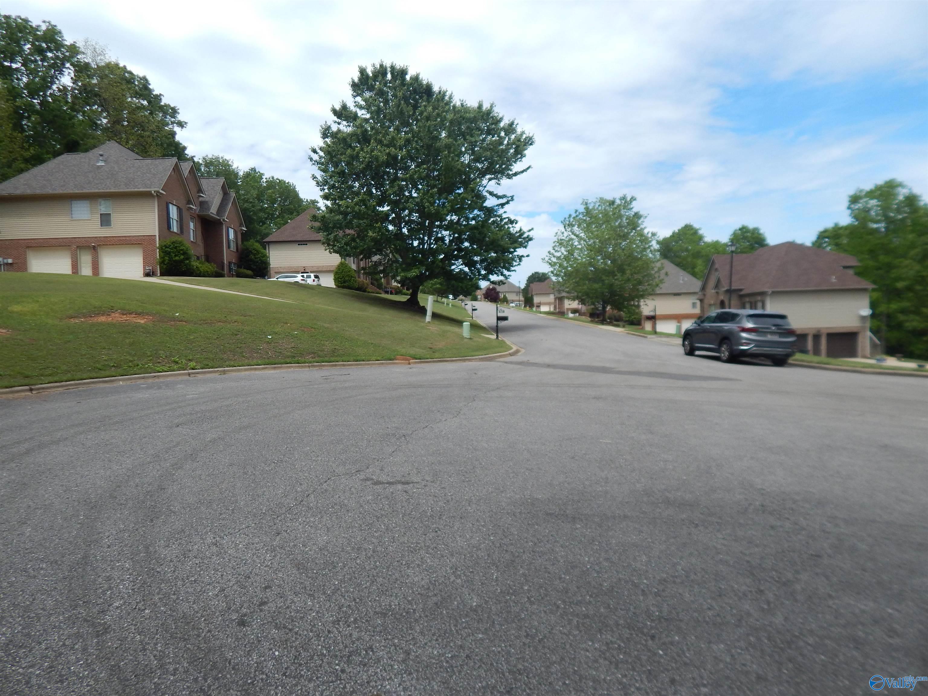 .3 Acres Alpine Circle, Odenville, Alabama image 2