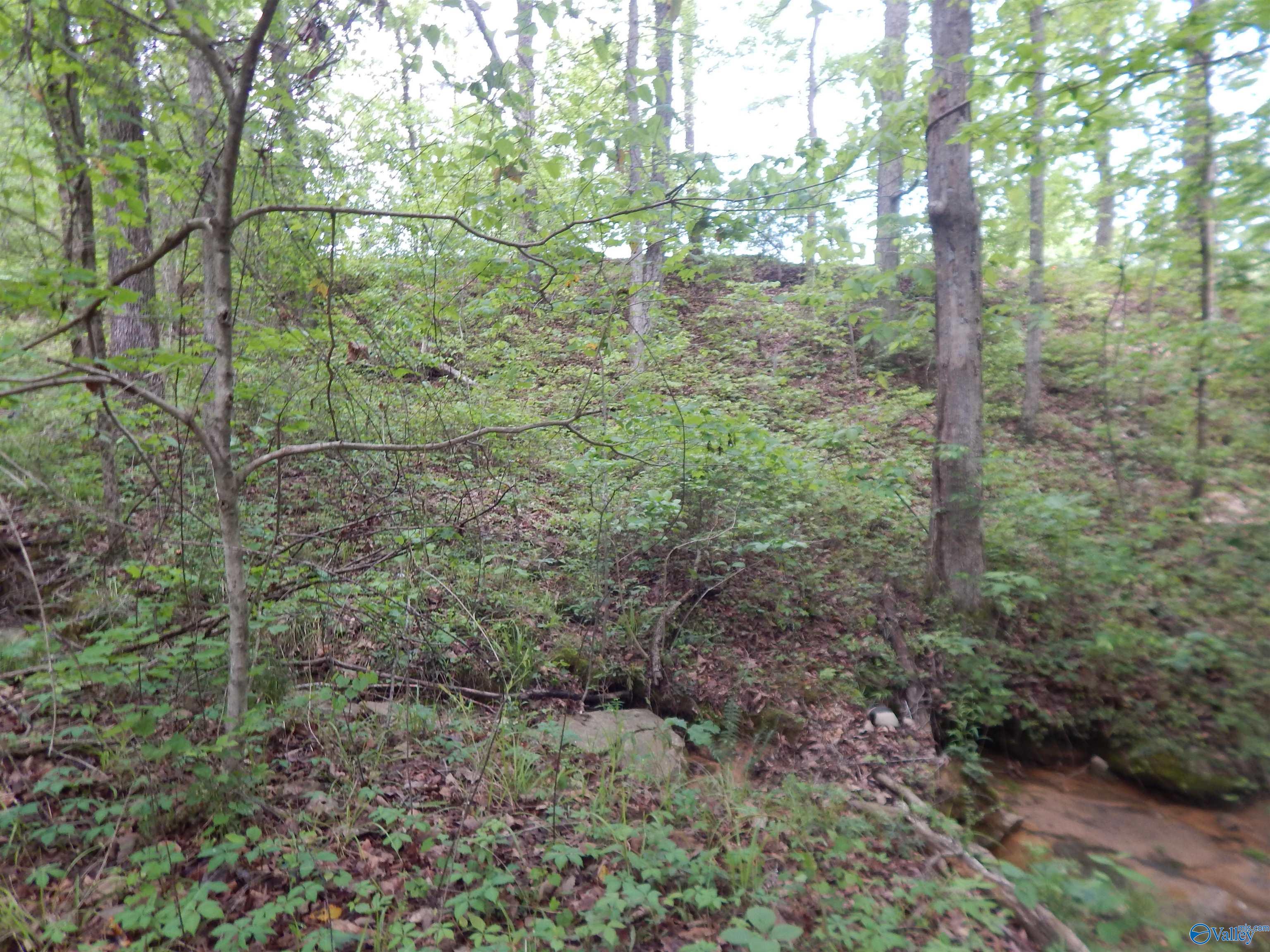 .3 Acres Alpine Circle, Odenville, Alabama image 7