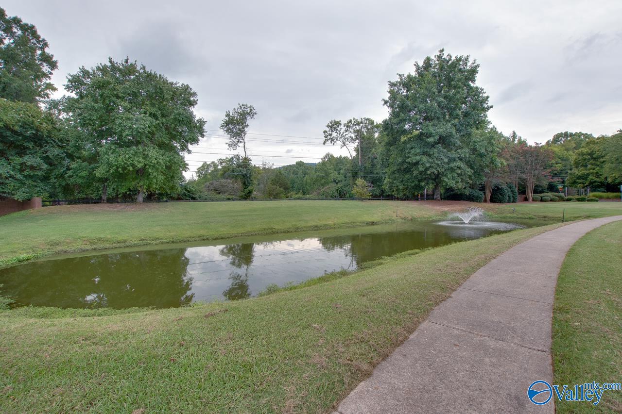 206 Cheval Circle, Brownsboro, Alabama image 49