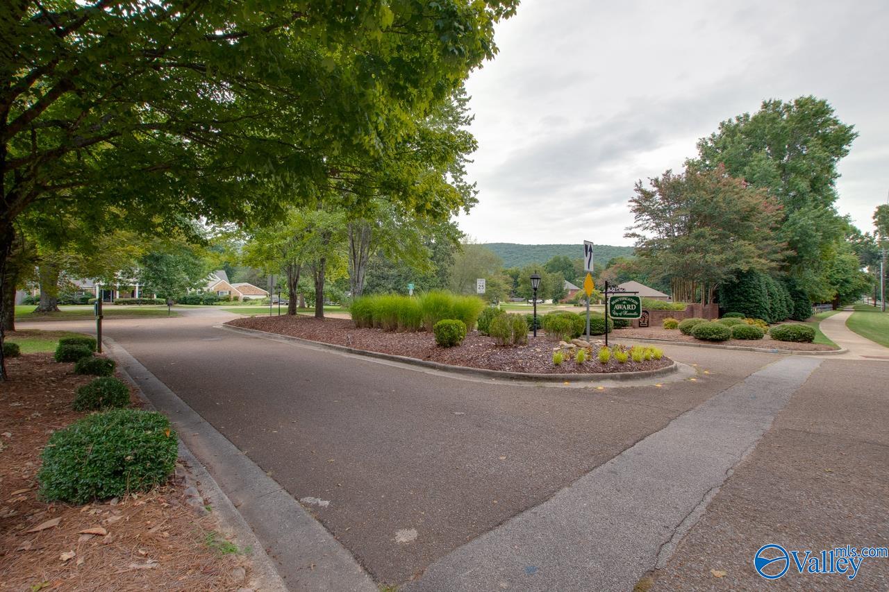 206 Cheval Circle, Brownsboro, Alabama image 50