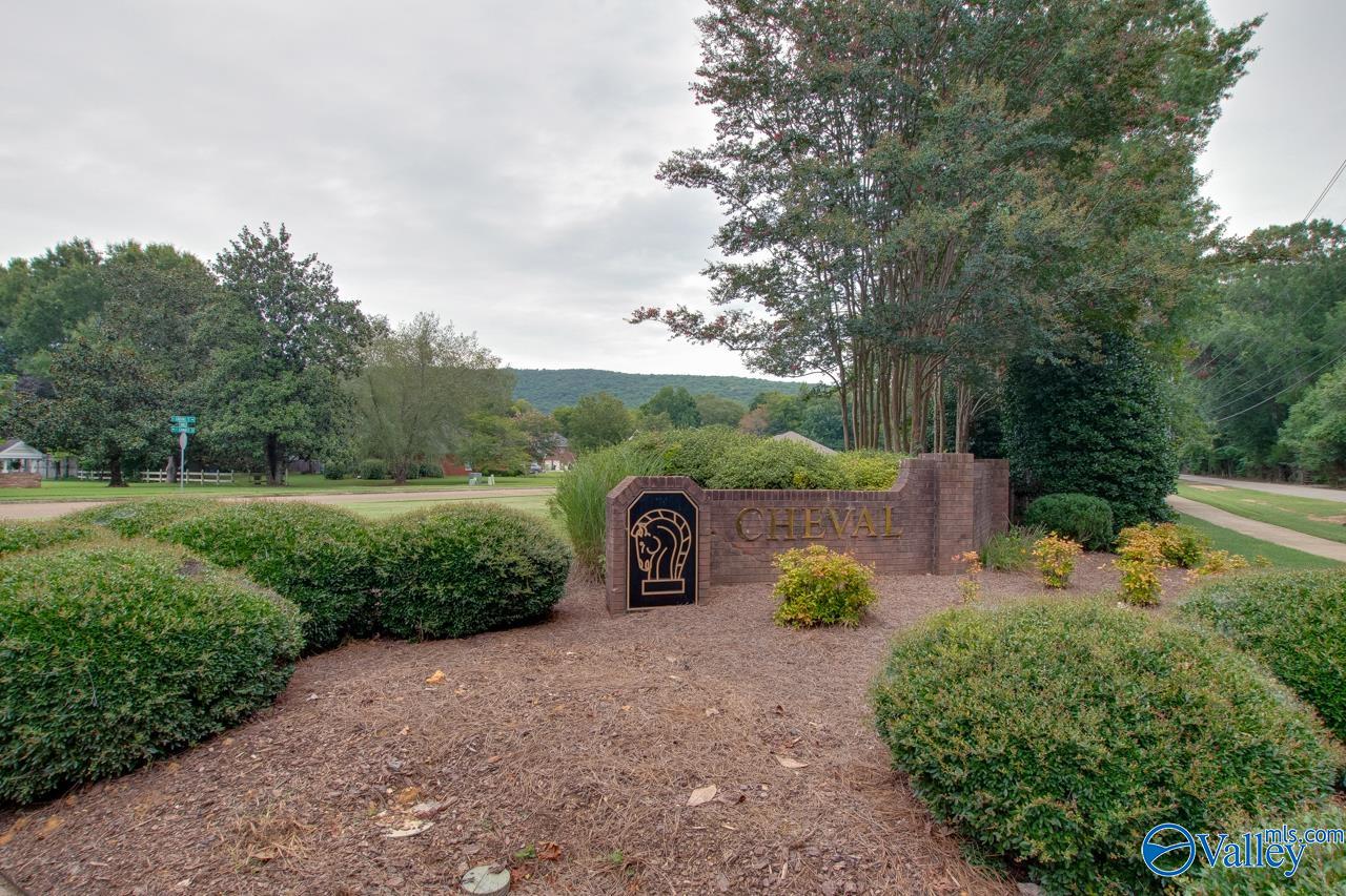 206 Cheval Circle, Brownsboro, Alabama image 47