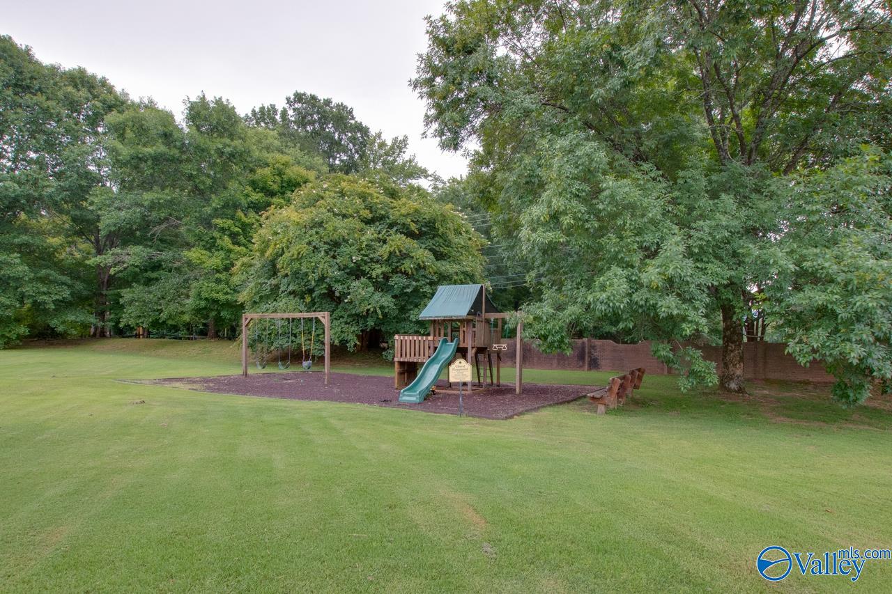 206 Cheval Circle, Brownsboro, Alabama image 48