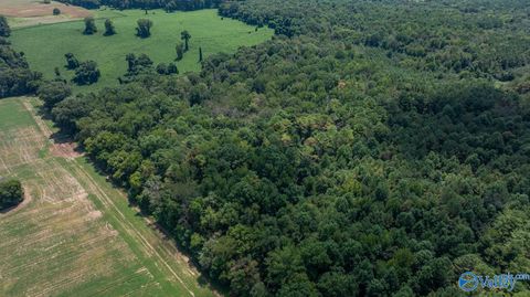 Vacant Land For Sale - 4 ACRES Carters Gin Road<br/> Toney, AL 35773