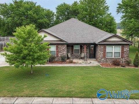 Homes For Sale - 100 Beaver Brook Place<br/> Madison County, Toney, AL 35773