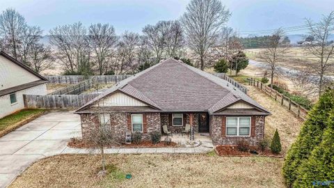 Homes For Sale - 100 Beaver Brook Place<br/> Toney, AL 35773