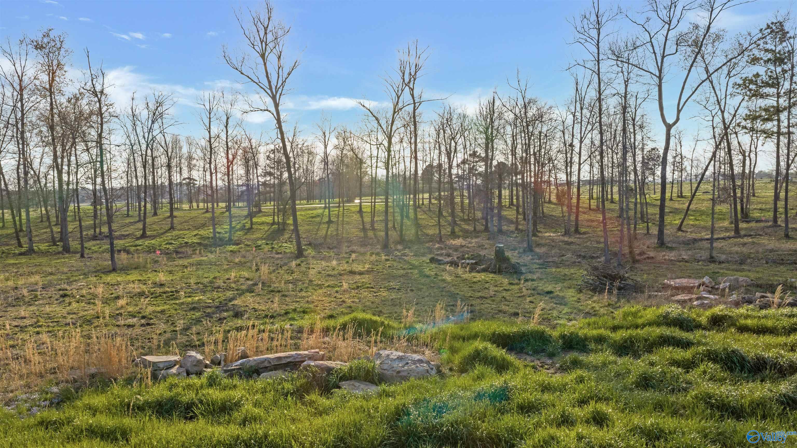 Lot 31 Garrett Street