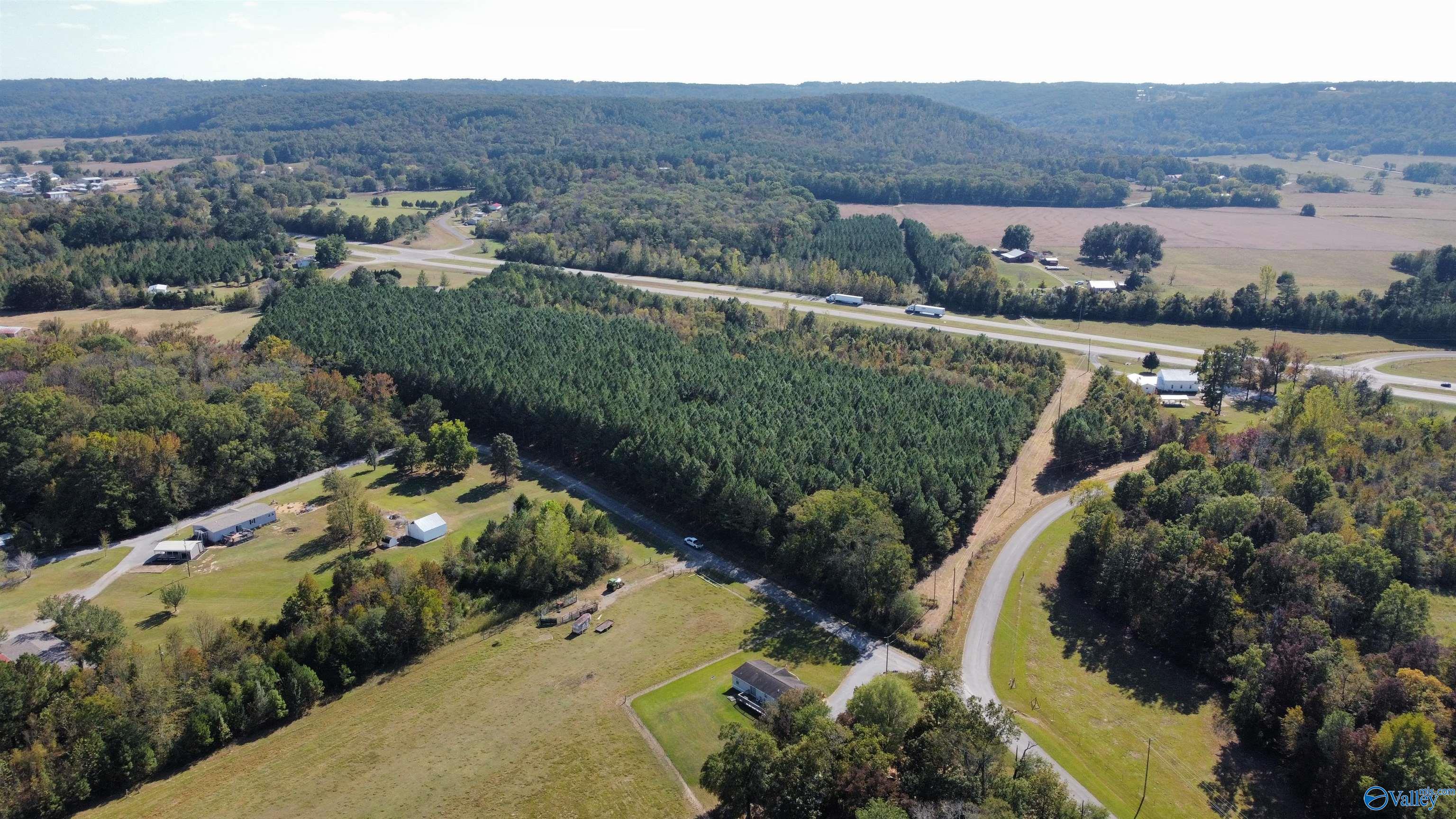 20 +/- Acres Highway 157, Falkville, Alabama image 2