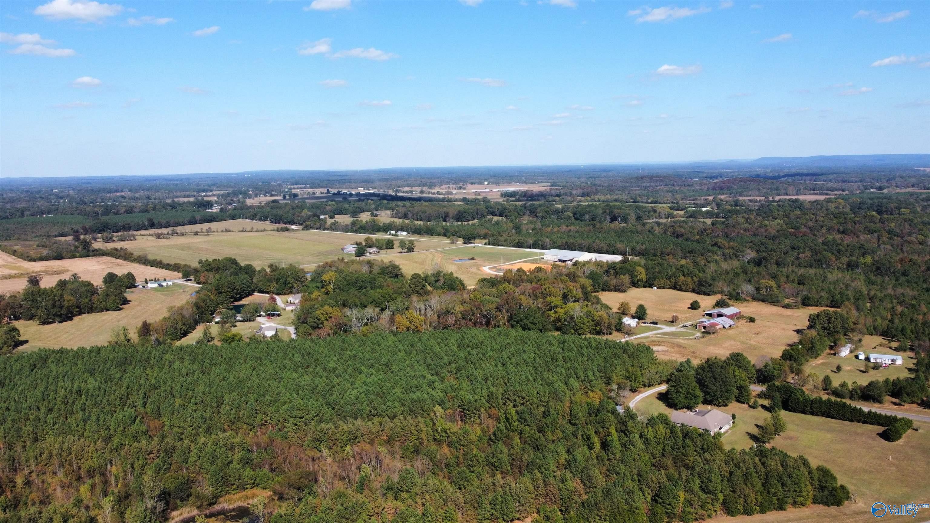 20 +/- Acres Highway 157, Falkville, Alabama image 11