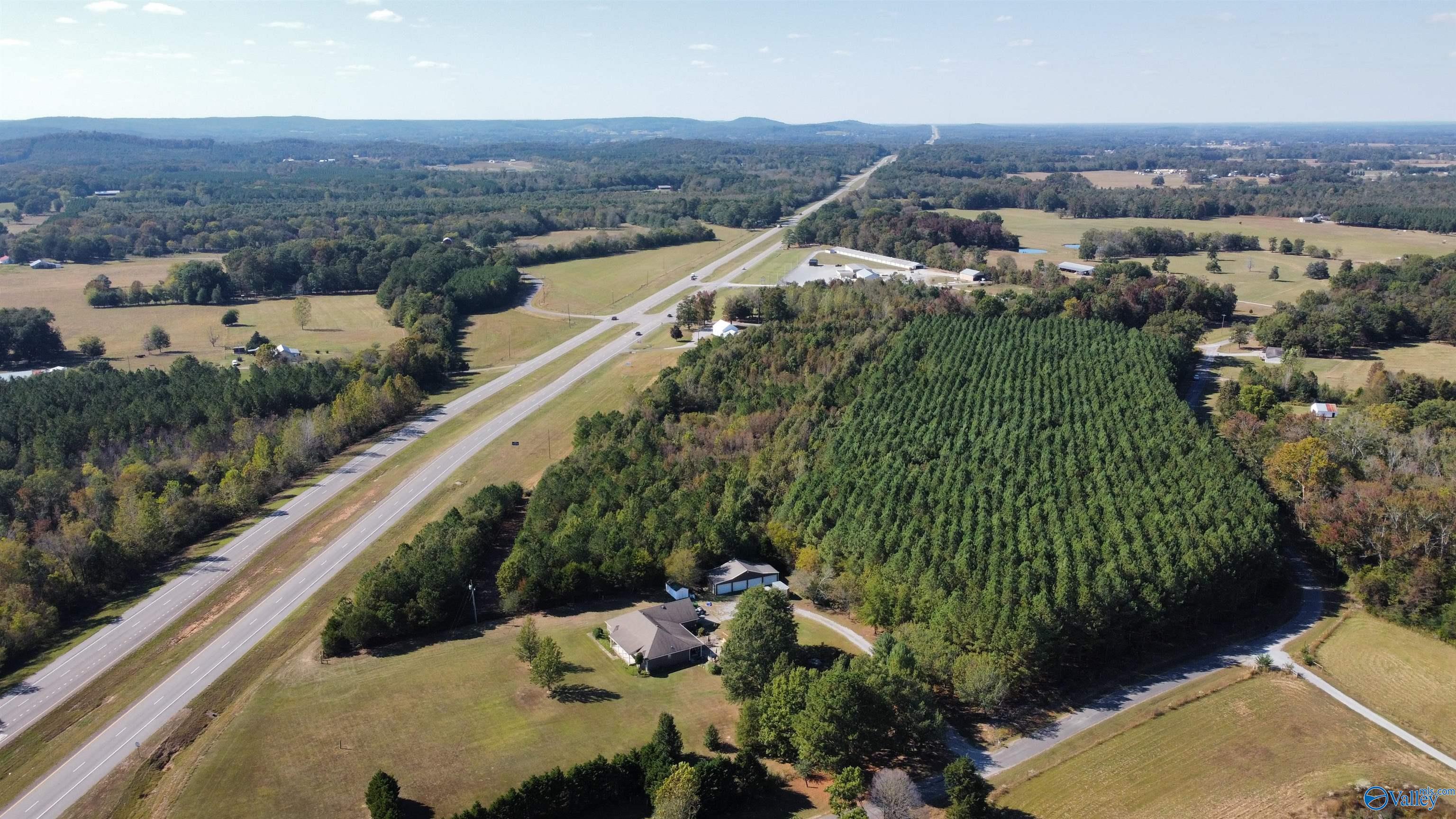 20 +/- Acres Highway 157, Falkville, Alabama image 14