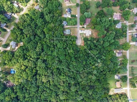Vacant Land For Sale - 24390 Cedar Lane<br/> Elkmont, AL 35620