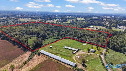 Vacant Land For Sale - 178 County Road 1559<br/> Cullman, AL 35058