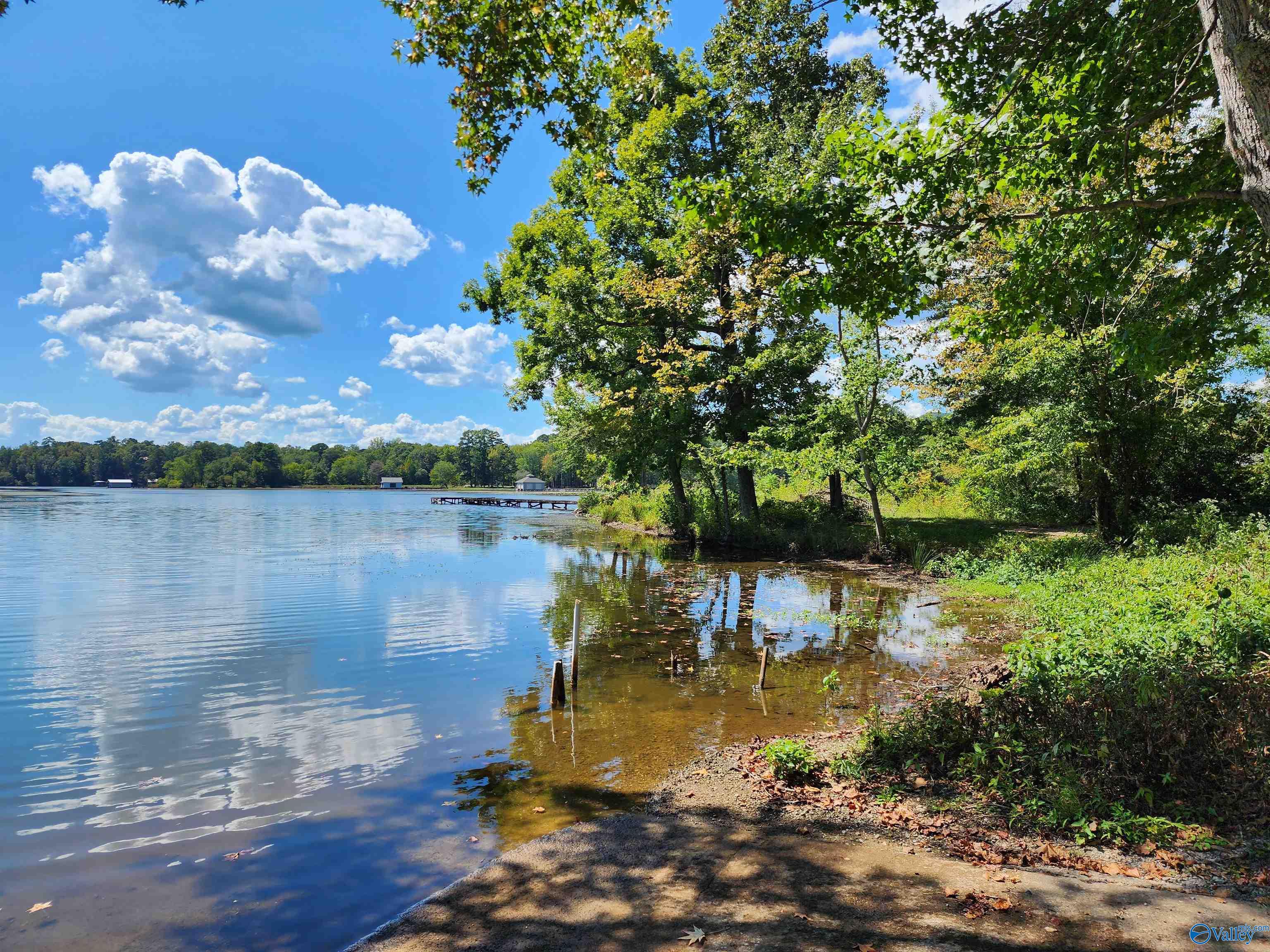 Lot 11 Shoreland Circle, Scottsboro, Alabama image 8