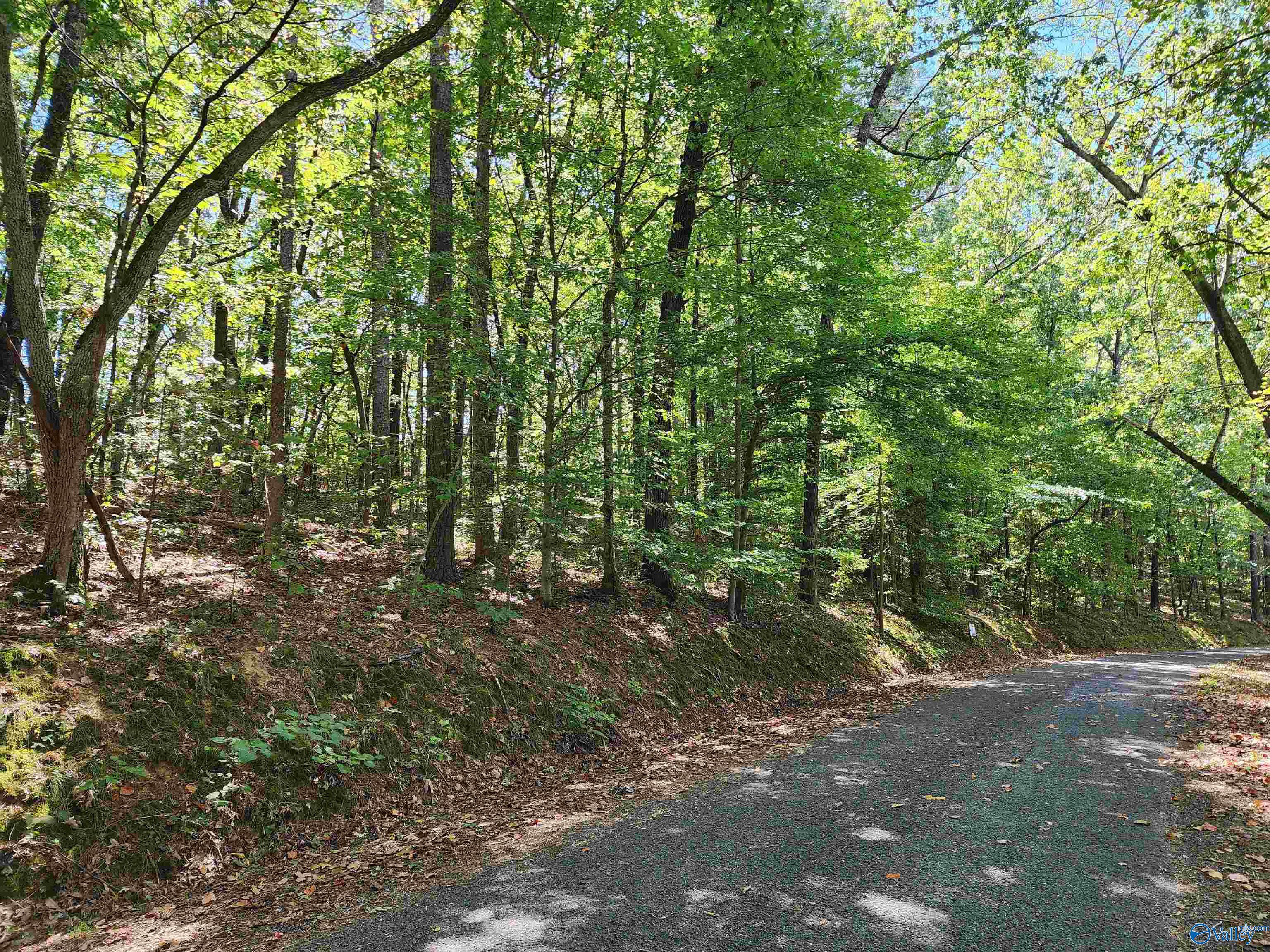 Lot 11 Shoreland Circle, Scottsboro, Alabama image 3