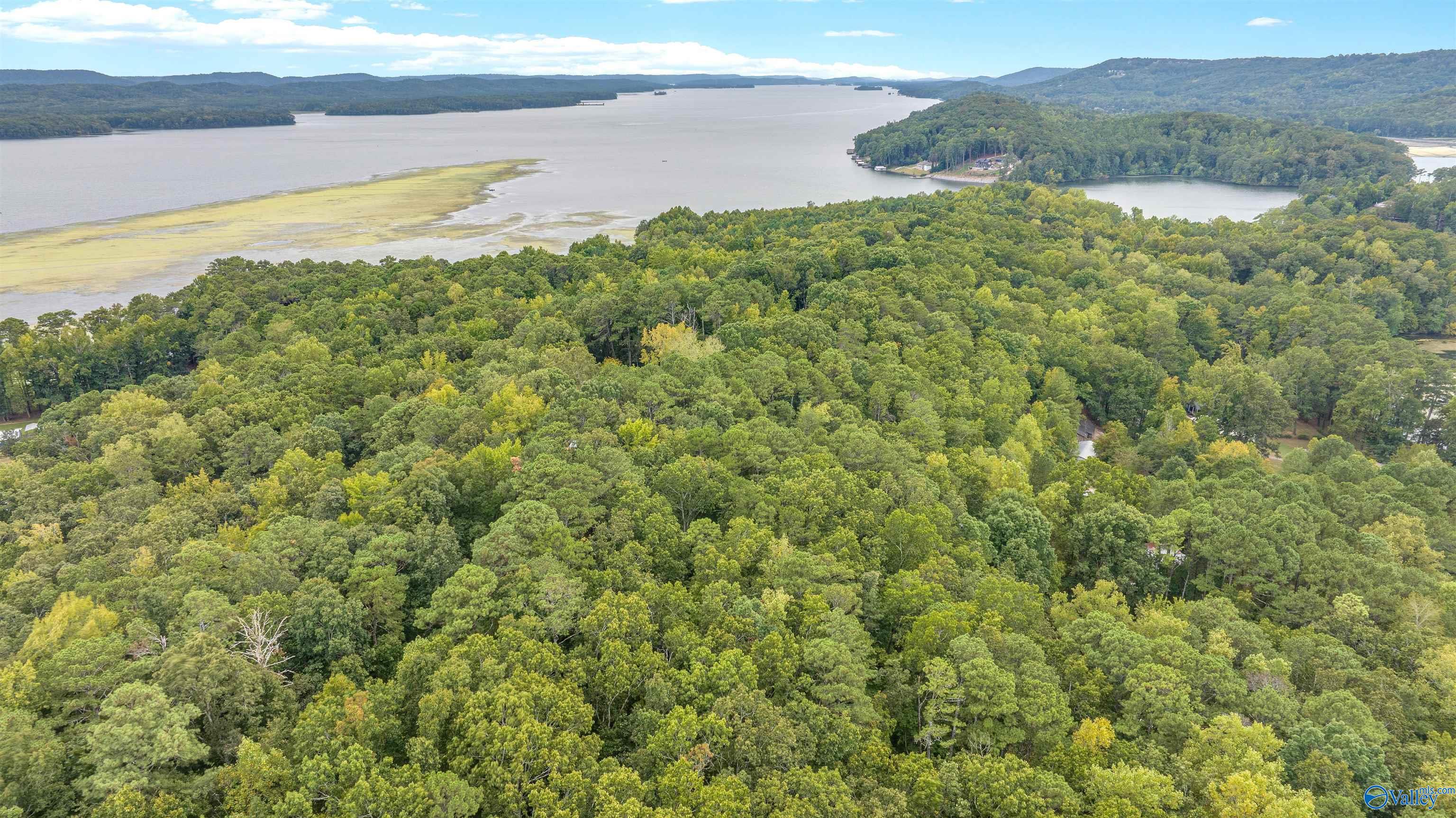 Lot 11 Shoreland Circle, Scottsboro, Alabama image 10