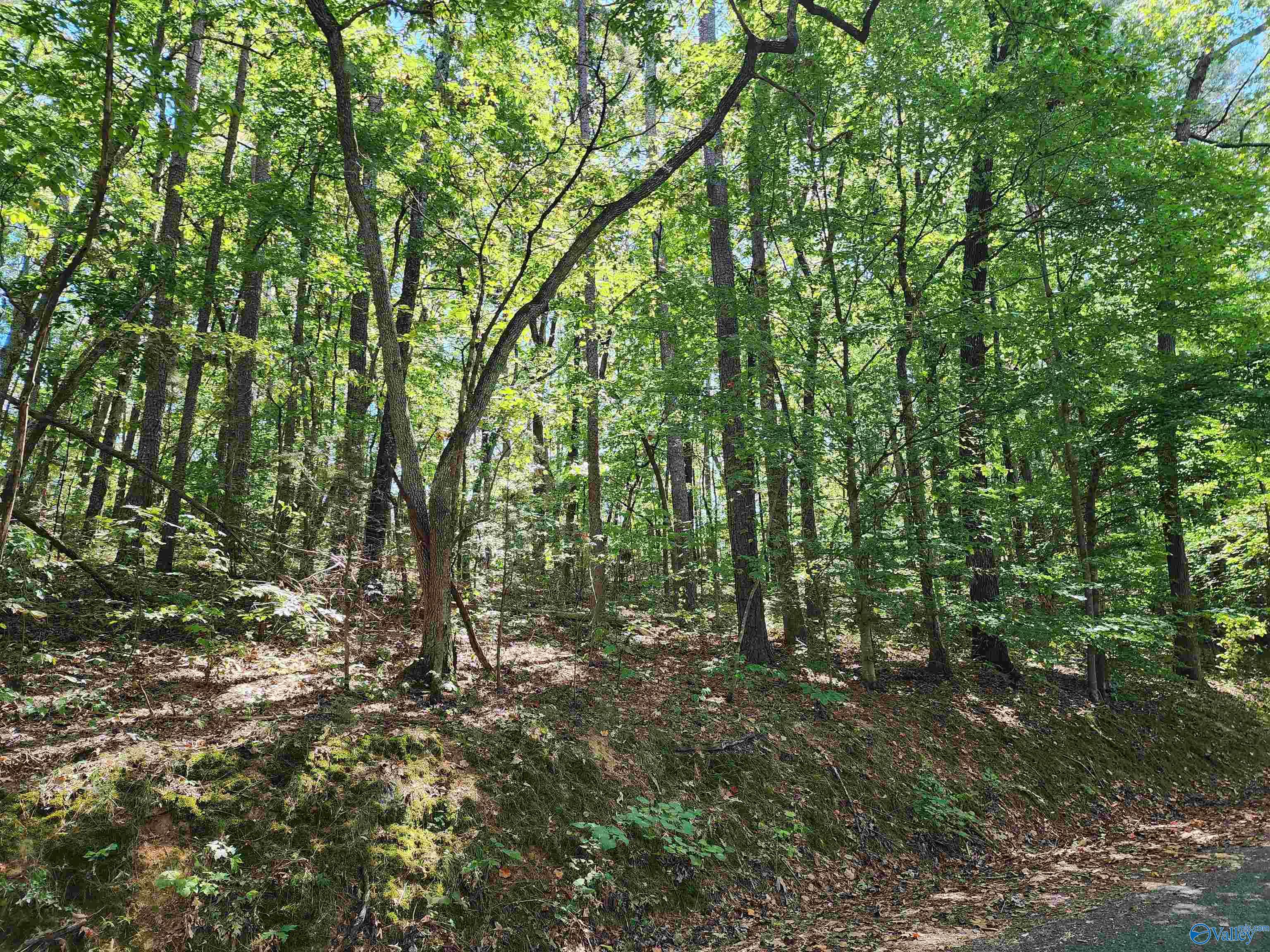 Lot 11 Shoreland Circle, Scottsboro, Alabama image 6