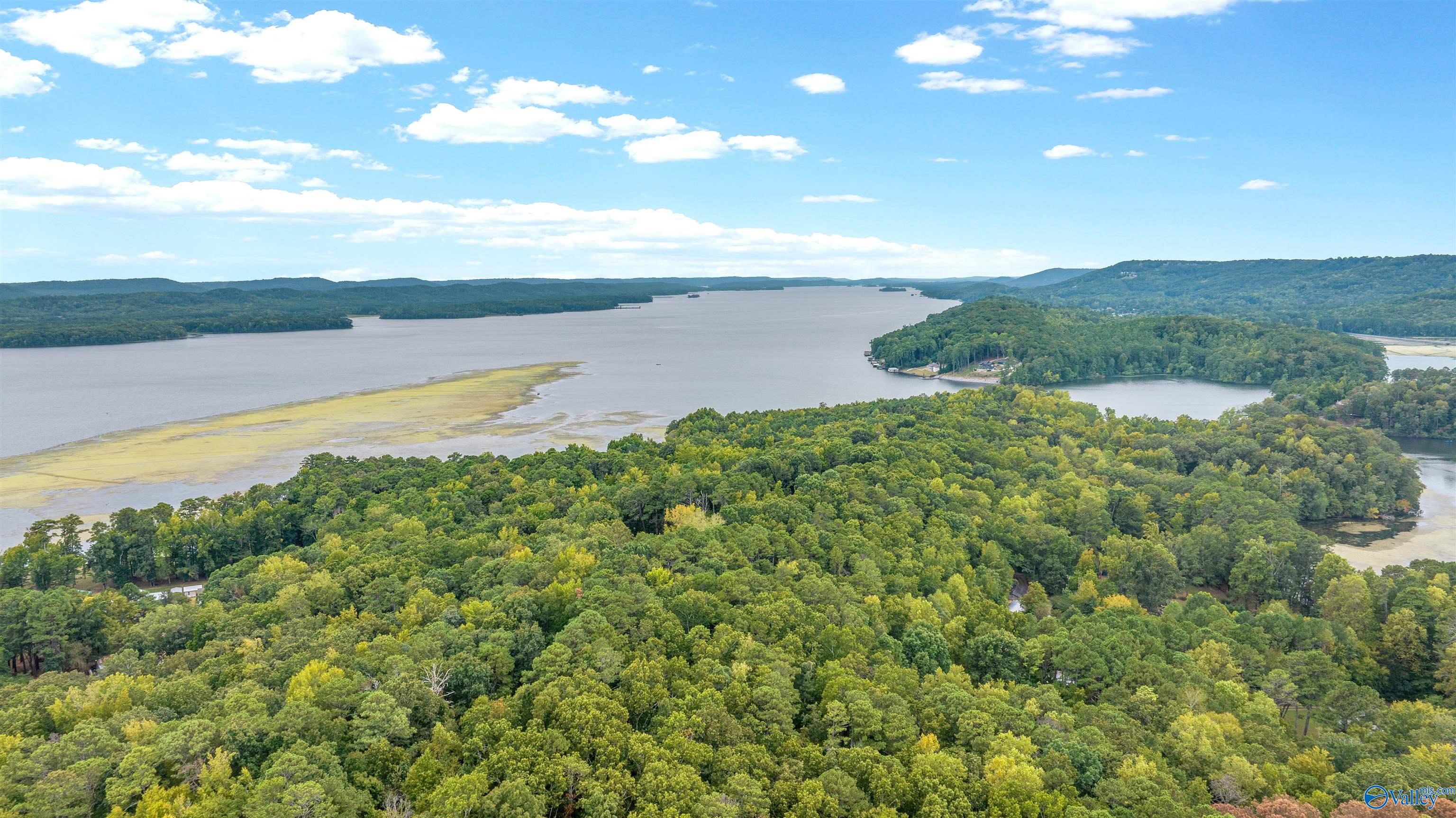 Lot 11 Shoreland Circle, Scottsboro, Alabama image 12