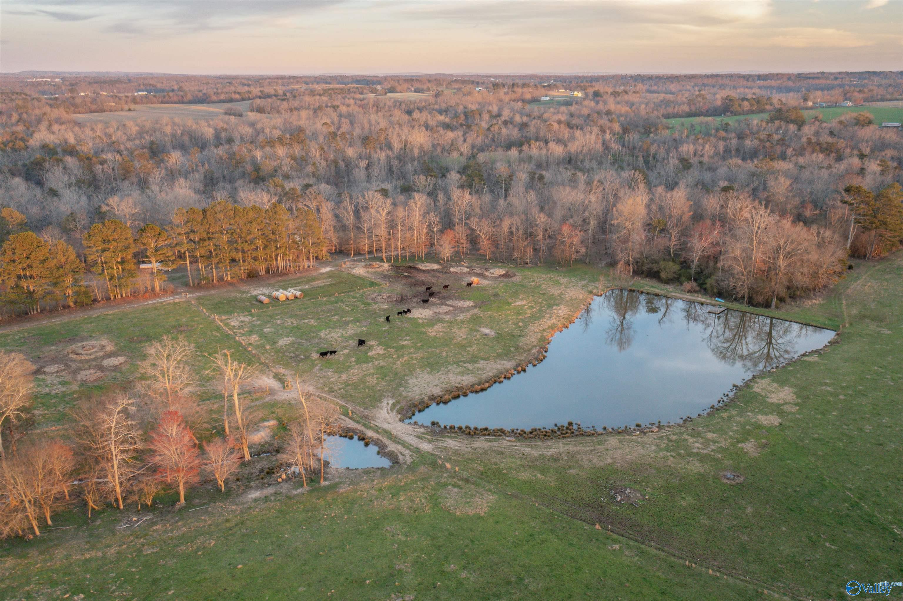 50 Acres County Road 164, Pisgah, Alabama image 10