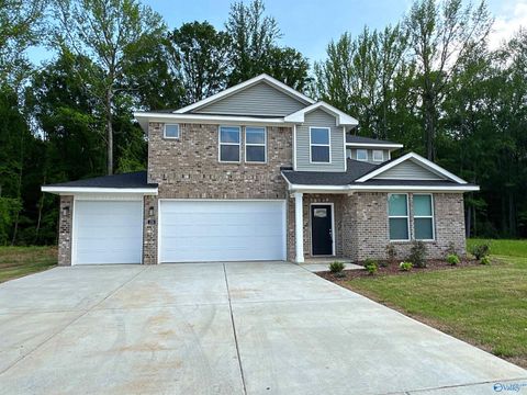 Homes For Rent - 228 Hibiscus Drive<br/> Hazel Green, AL 35750