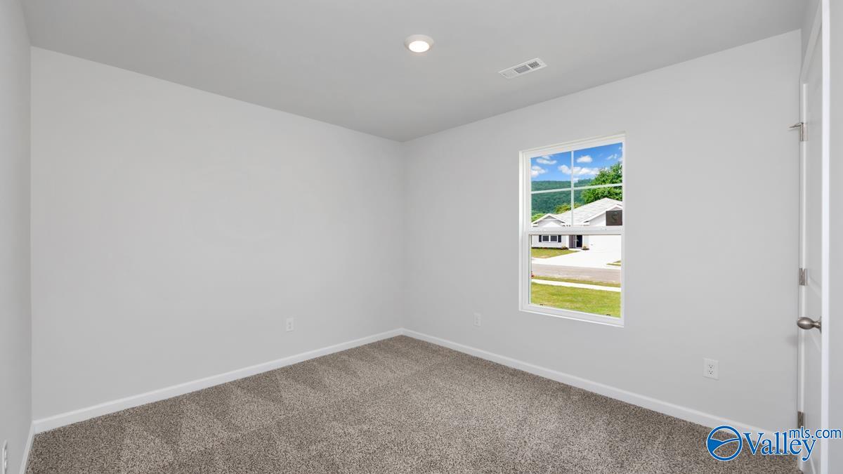 9901 Sequoyah Cove Drive, Owens Cross Roads, Alabama image 16