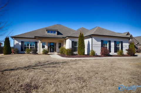 Photo of 135 Bowdock Drive, Madison, AL 35756 (MLS # 21908258)