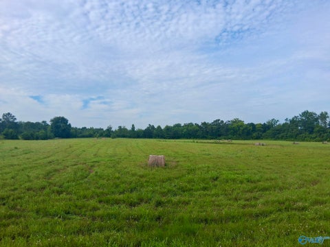 Vacant Land For Sale - 11 ACRES Columbus City Road<br/> Grant, AL 35747