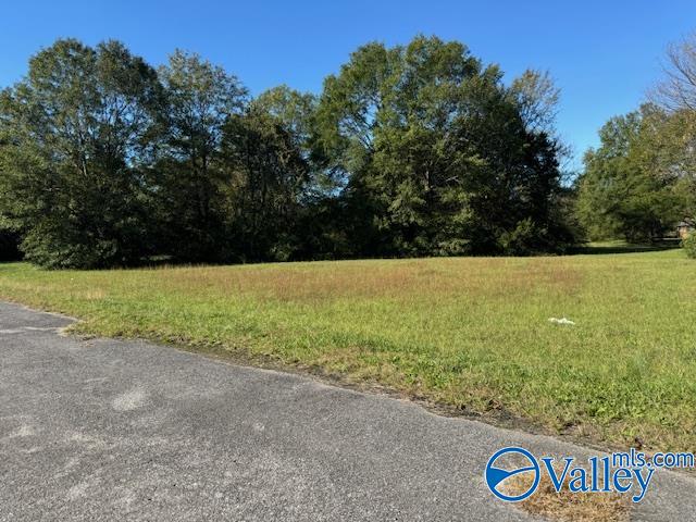 1 Acre Hwy 55, Falkville, Alabama image 2